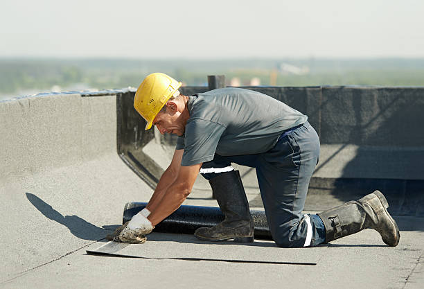 Best Insulation Maintenance and Repair in Camas, WA