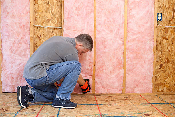 Best Commercial Insulation in Camas, WA