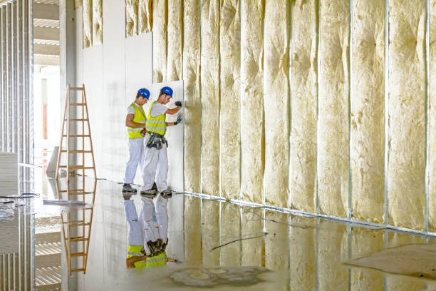 Best Insulation Installation Services in Camas, WA
